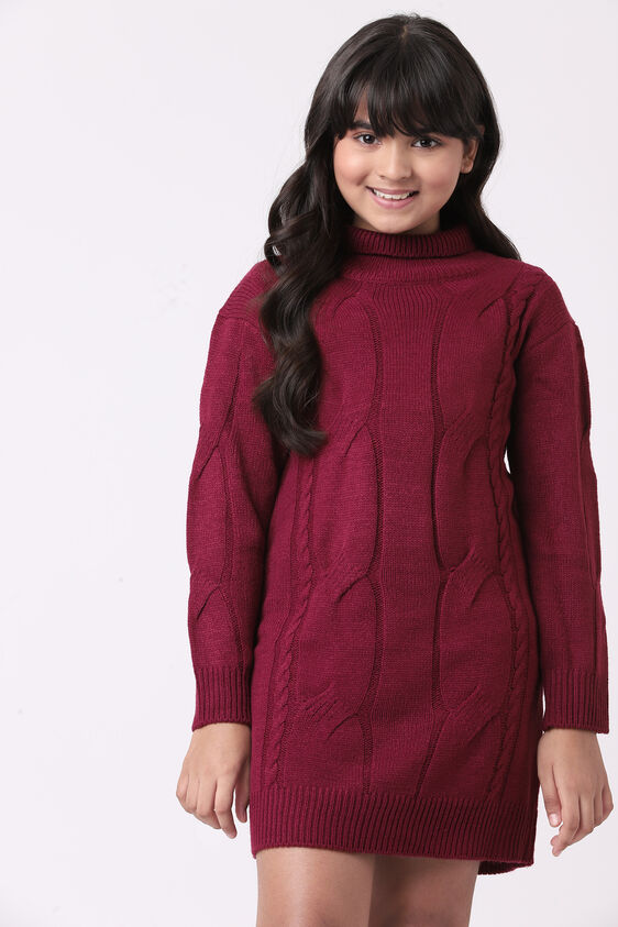 Wine Self Design Straight Dress, Wine, image 4